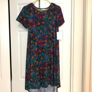 BNWT XS LulaRoe Carley 🍂🍁